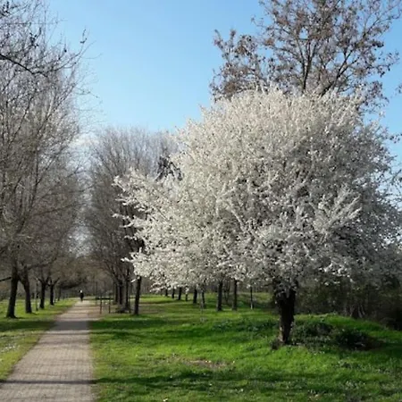Attic With Terrace On Conca D'oro Roma